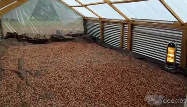 Plantacion 30ha de Cacao en Producción en terreno de 43 Ha en total
