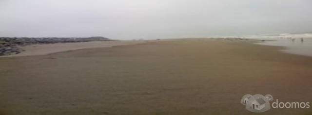 Hermoso terreno frente al mar para casas de playa (8Ha) / Beautiful land in the seashore for beach houses (8 Ha)