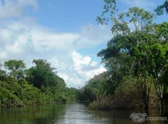 Reserva privada en la selva peruana